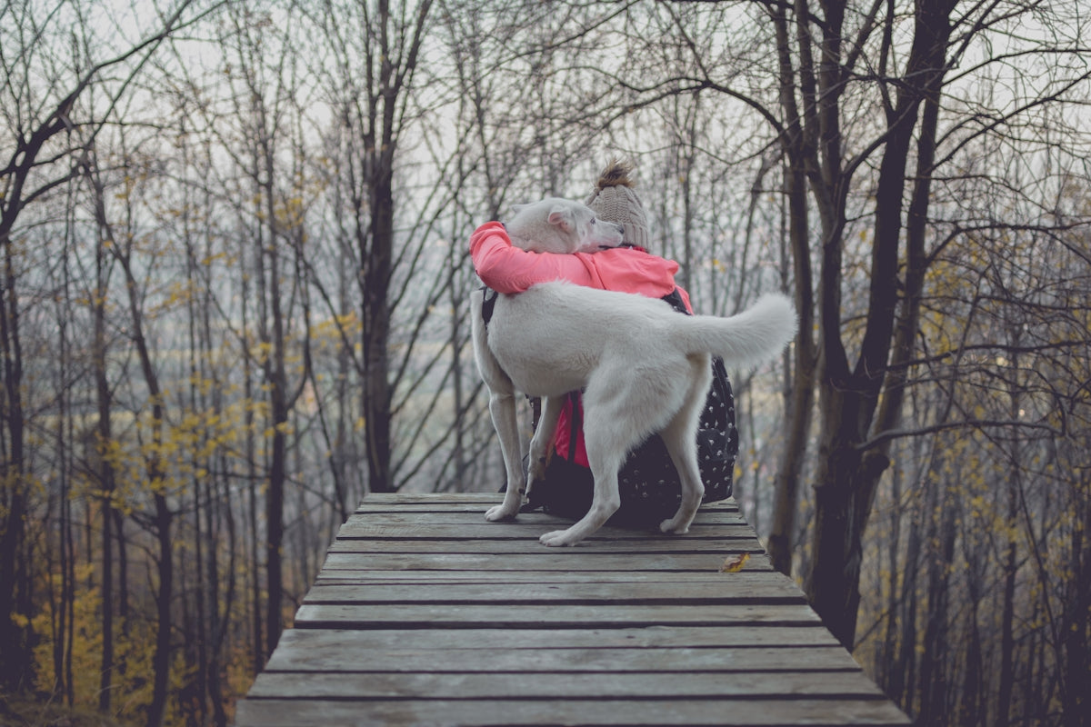 person hugging dog on bridge