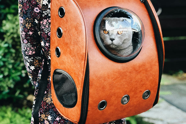 woman carrying pet carrier while standing near green plant