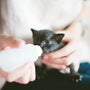 person feeding kitten from feeding bottle
