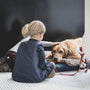 boy sitting in front of dog