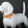 beige leather dog collar