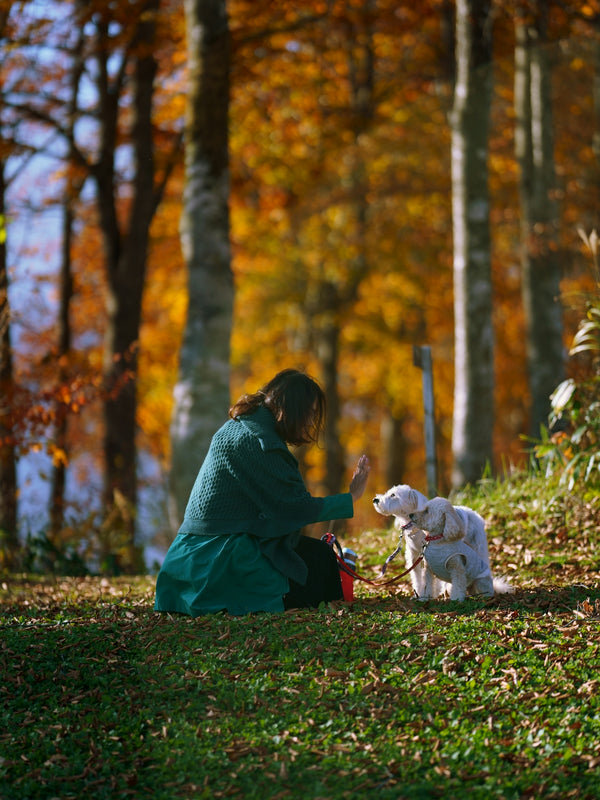 woman holding dogs