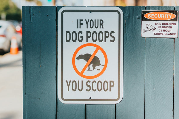 if your dog pops you scoop signage on gray wall
