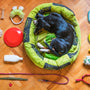 black and tan short coat medium sized dog lying on green and yellow pet bed