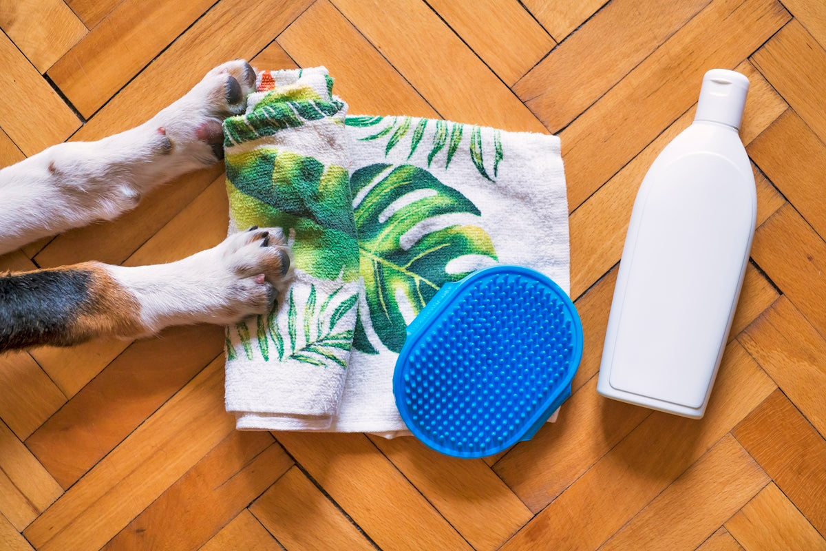 white short coated dog on green and white textile