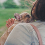 woman in gray shirt carrying brown french bulldog puppy