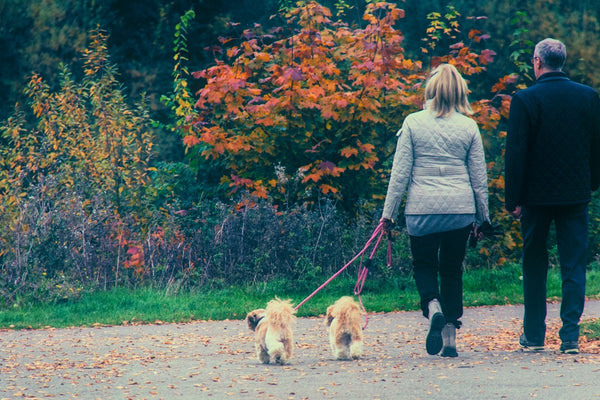 woman in white long sleeve shirt holding leash of brown dog