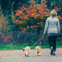 woman in white long sleeve shirt holding leash of brown dog