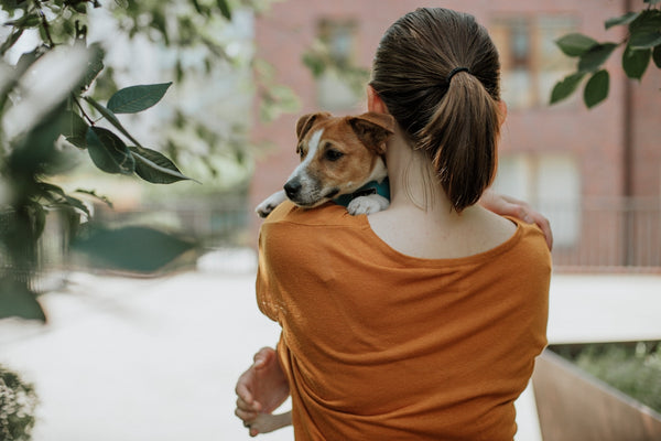 woman in orange shirt holding green plant