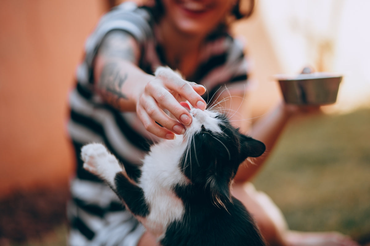woman in black and white stripe long sleeve shirt holding black and white cat