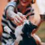 woman in black and white stripe long sleeve shirt holding black and white cat