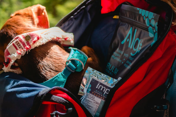 woman in red and black jacket carrying baby in blue jacket