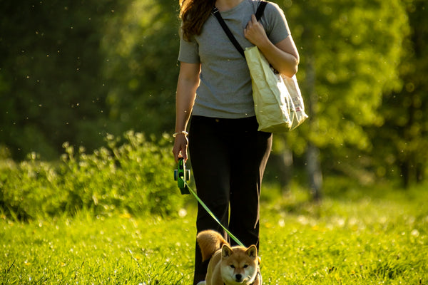a woman walking a dog in a grassy field