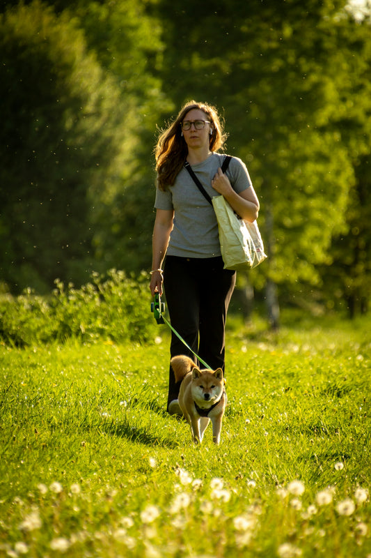 a woman walking a dog in a grassy field