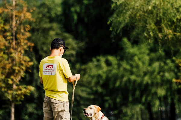 man in yellow shirt and brown shorts holding yellow labrador retriever during daytime