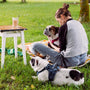 woman in gray shirt sitting on chair beside white and black short coated dog