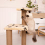 a cat climbing on a cat tree in a living room