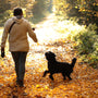 a man walking down a leaf covered path with a dog