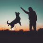 a person and a dog playing with a kite