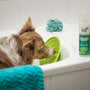 a brown and white dog sitting in a bath tub
