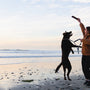 a person and a dog on a beach