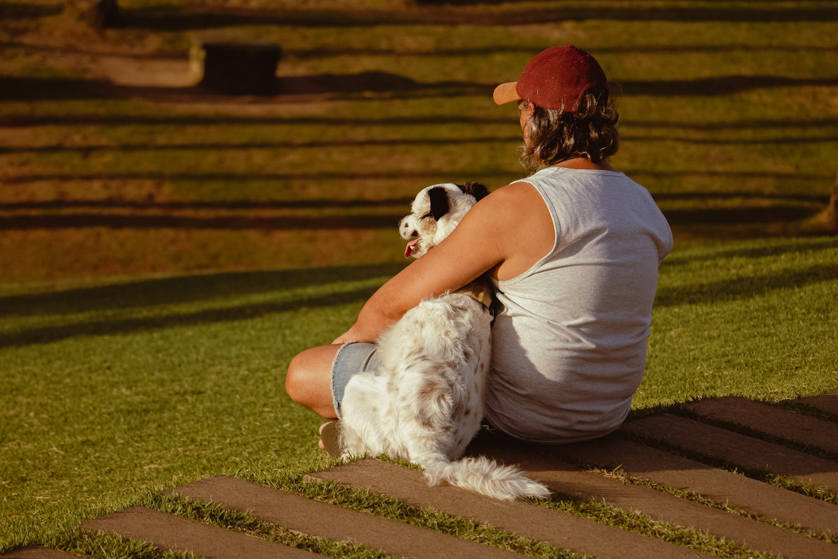 a person and a dog sitting on grass