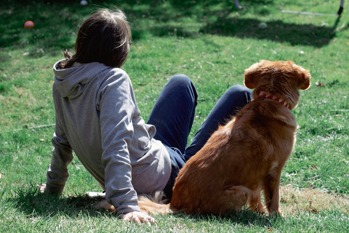 a person and a dog sitting on grass