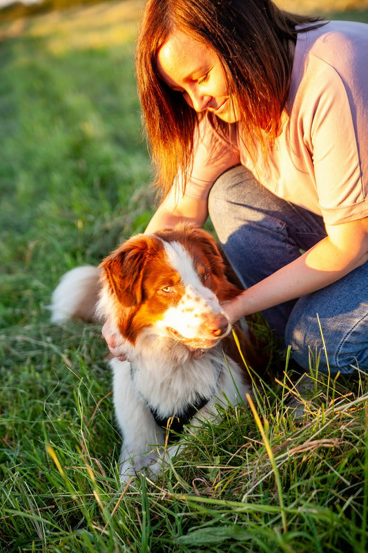 a woman petting a dog