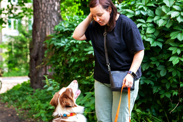 a man walking a dog