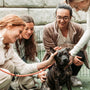 a group of women petting a dog on a leash