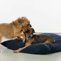 two dogs playing with a pillow on the floor