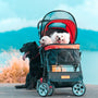 two dogs are sitting in a stroller