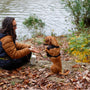 a woman kneeling down next to a brown dog