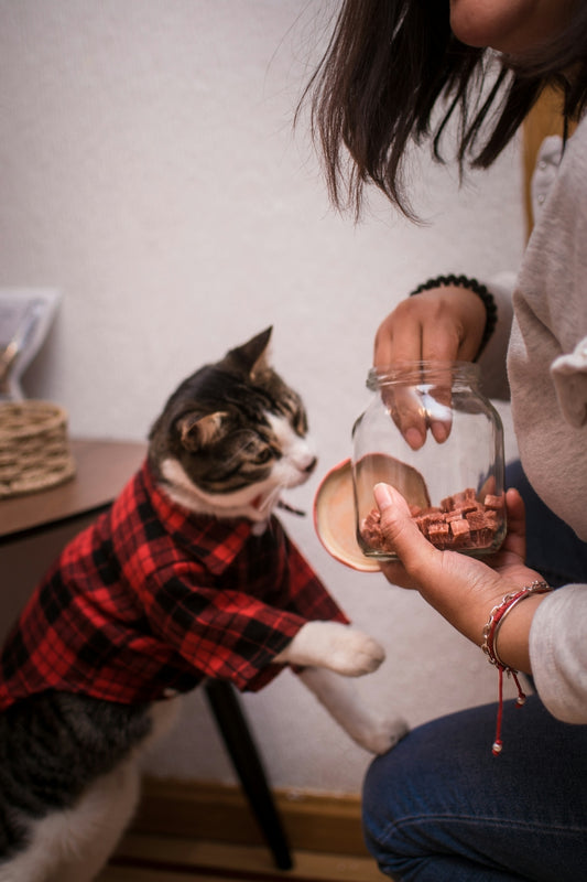 a woman is holding a wine glass with a cat in it