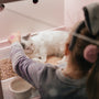 a little girl petting a cat in a cage