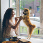 a woman sitting on a window sill petting a dog