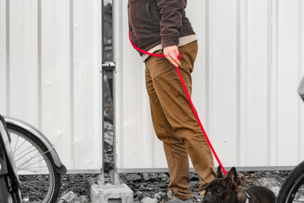 a man walking a dog on a leash