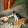 a person feeding a cat with a long stick