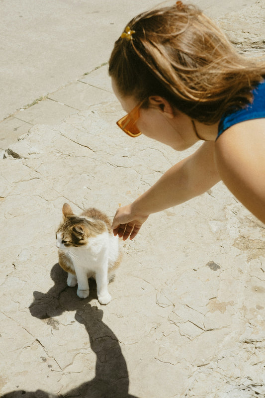 A woman petting a cat on the ground