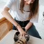 A woman petting a cat on the back of a chair
