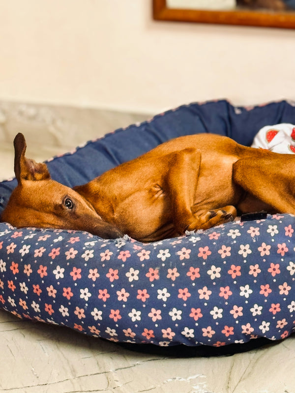 A brown dog laying on top of a dog bed