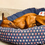 A brown dog laying on top of a dog bed