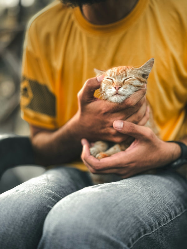 A man holding a cat in his hands