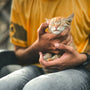 A man holding a cat in his hands