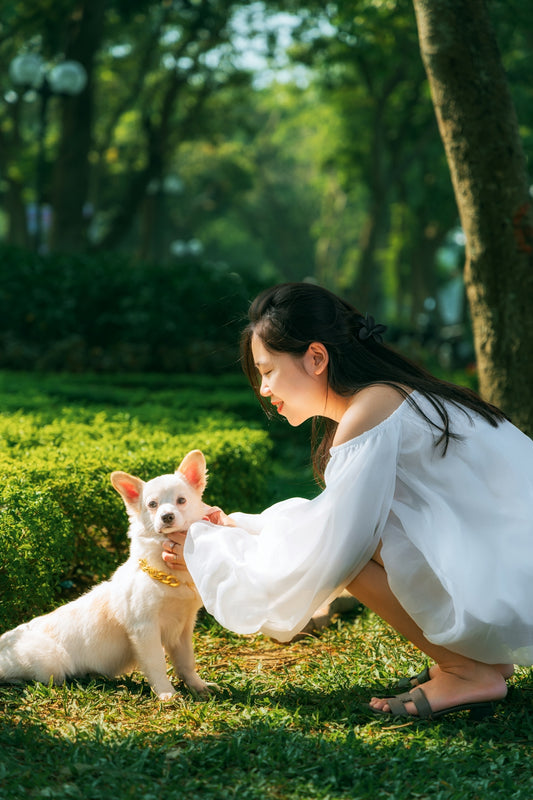 A woman kneeling down next to a white dog