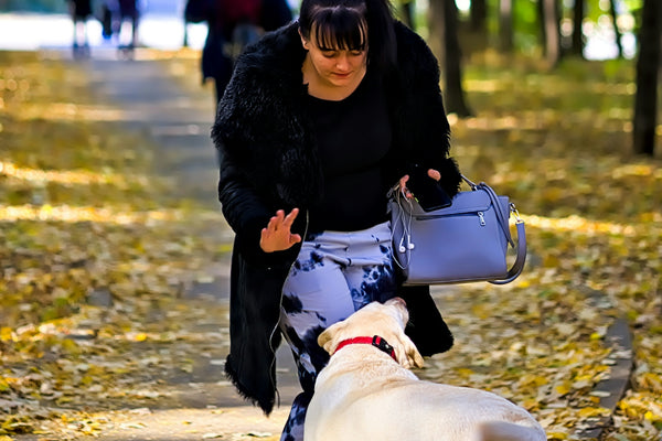 A woman walking a dog in a park