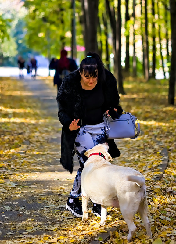 A woman walking a dog in a park
