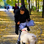 A woman walking a dog in a park