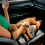 A woman sitting in a car with a dog on her lap