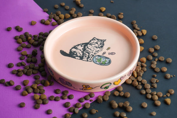 A bowl filled with dog food on top of a purple surface